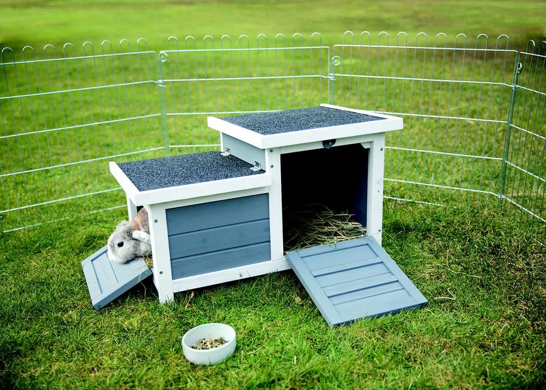 \\bir-s-cifs01.eichhorn.int\eichhorn$\Daten\Programme\Allgeier\Artikelbilder\4011905623900.JPG \\bir-s-cifs01.eichhorn.int\eichhorn$\Daten\Programme\Allgeier\Artikelbilder\4011905623900.JPG